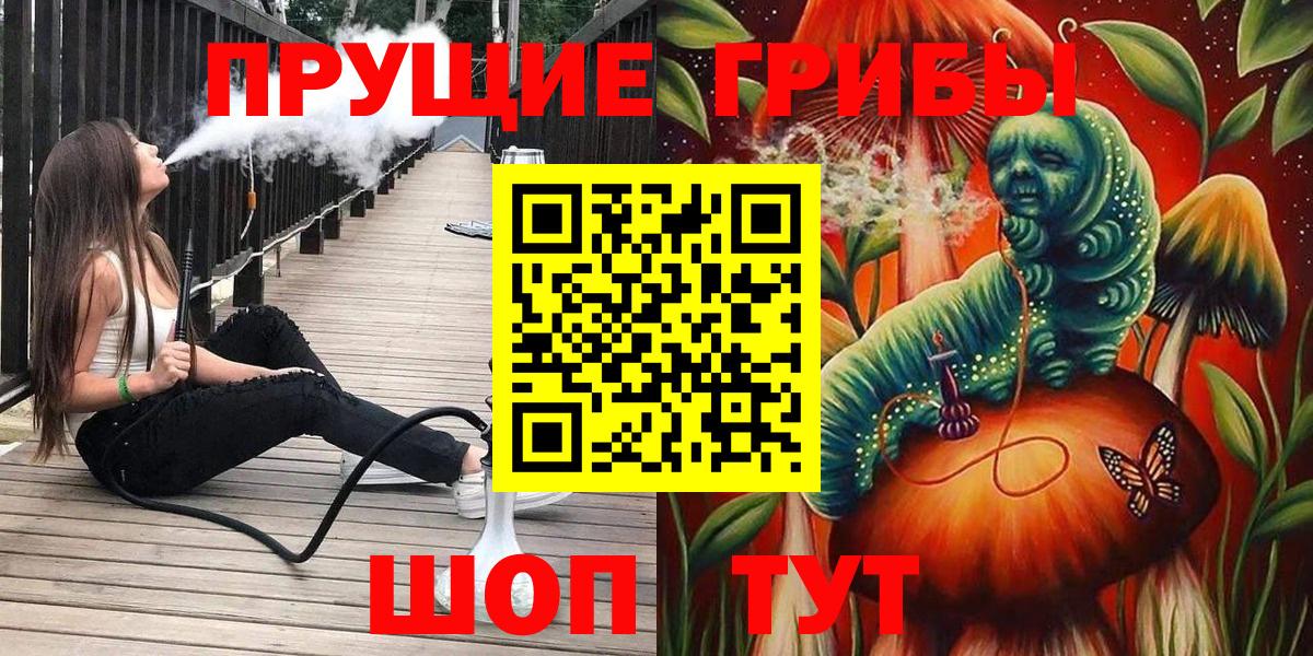 Галлюциногенные грибы Psilocybe Сарапул