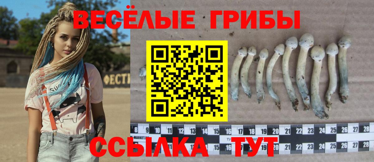 Сарапул  Галлюциногенные грибы ЛСД  Вход с VPN 