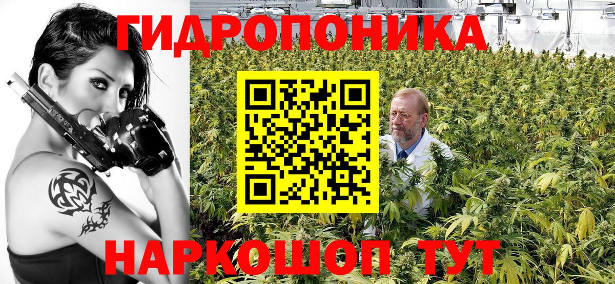 Бошки Шишки VHQ Сарапул